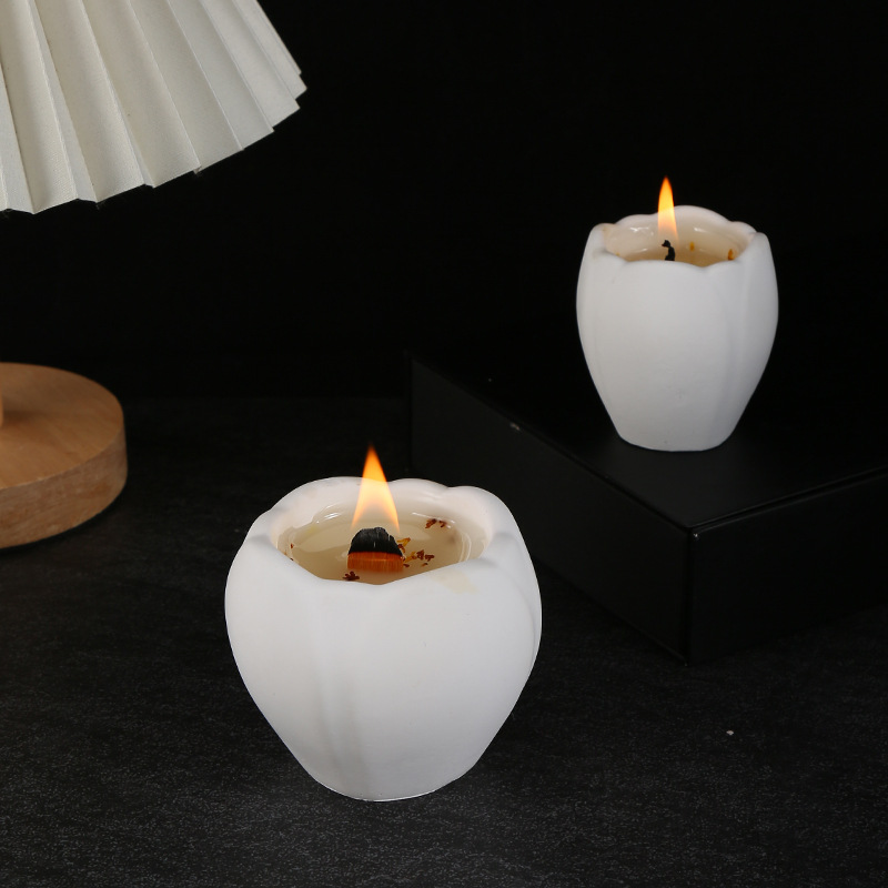 Aromatherapiekaars voor huisde - Home Fragrance Usa recensie en prijs